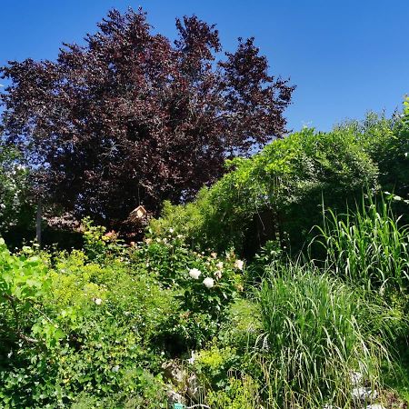 Naehe Spieleland Lejlighed Vogt Eksteriør billede